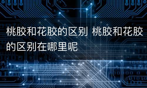 桃胶和花胶的区别 桃胶和花胶的区别在哪里呢