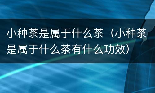 小种茶是属于什么茶（小种茶是属于什么茶有什么功效）