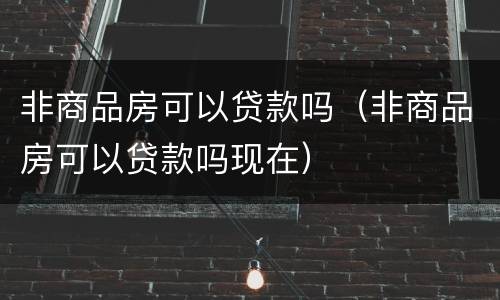 非商品房可以贷款吗（非商品房可以贷款吗现在）