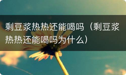 剩豆浆热热还能喝吗（剩豆浆热热还能喝吗为什么）