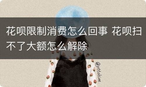 花呗限制消费怎么回事 花呗扫不了大额怎么解除