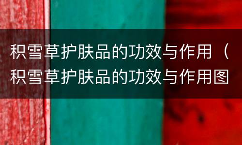 积雪草护肤品的功效与作用（积雪草护肤品的功效与作用图片）