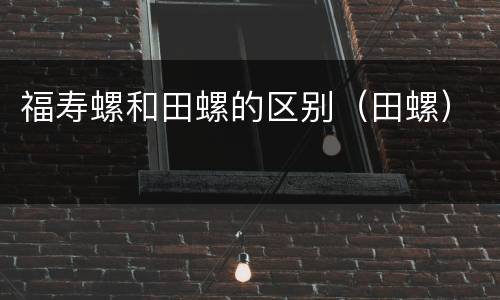 福寿螺和田螺的区别（田螺）