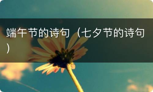端午节的诗句（七夕节的诗句）