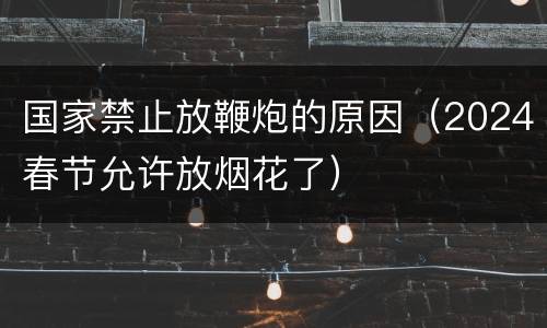 国家禁止放鞭炮的原因（2024春节允许放烟花了）