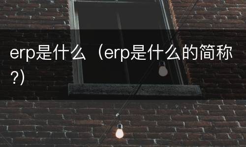 erp是什么（erp是什么的简称?）