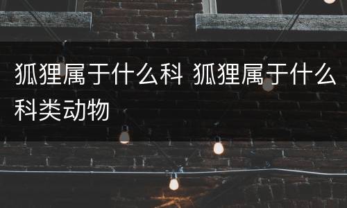 狐狸属于什么科 狐狸属于什么科类动物