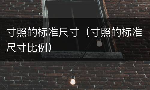 寸照的标准尺寸（寸照的标准尺寸比例）