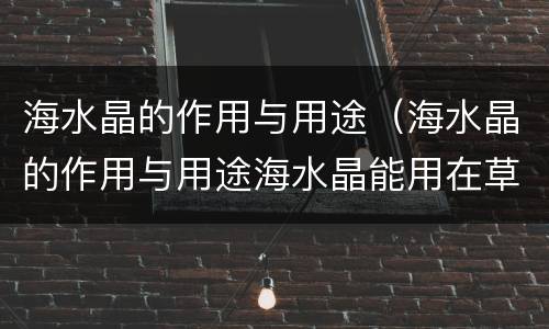 海水晶的作用与用途（海水晶的作用与用途海水晶能用在草鱼,武昌鱼里吗）