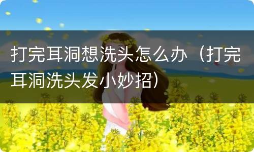 打完耳洞想洗头怎么办（打完耳洞洗头发小妙招）