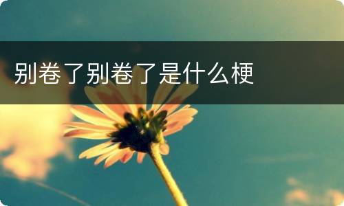 别卷了别卷了是什么梗