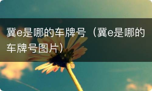 冀e是哪的车牌号（冀e是哪的车牌号图片）
