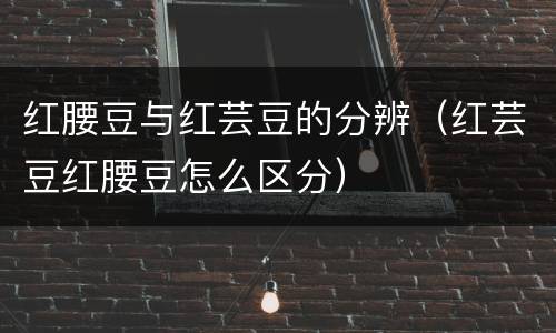 红腰豆与红芸豆的分辨（红芸豆红腰豆怎么区分）