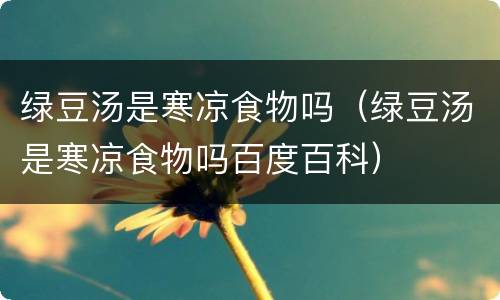 绿豆汤是寒凉食物吗（绿豆汤是寒凉食物吗百度百科）