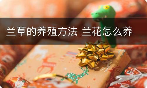 兰草的养殖方法 兰花怎么养