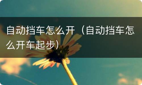 自动挡车怎么开（自动挡车怎么开车起步）
