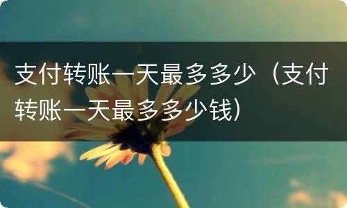 支付转账一天最多多少（支付转账一天最多多少钱）