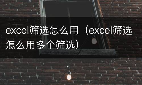 excel筛选怎么用（excel筛选怎么用多个筛选）