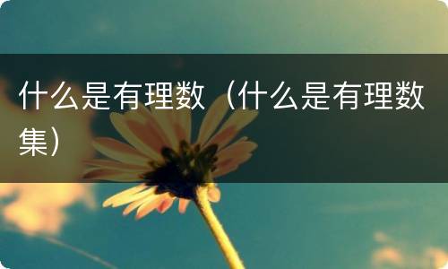 什么是有理数（什么是有理数集）