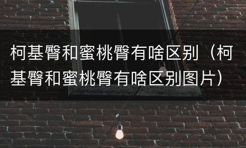 柯基臀和蜜桃臀有啥区别（柯基臀和蜜桃臀有啥区别图片）