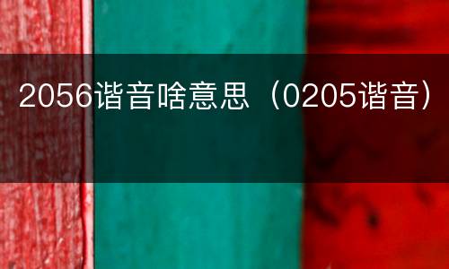 2056谐音啥意思（0205谐音）