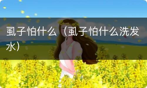 虱子怕什么（虱子怕什么洗发水）