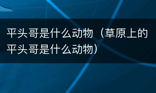 平头哥是什么动物（草原上的平头哥是什么动物）