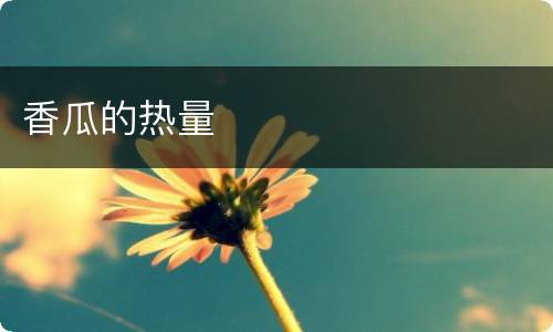 香瓜的热量