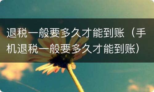 退税一般要多久才能到账（手机退税一般要多久才能到账）