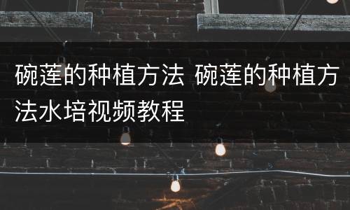 碗莲的种植方法 碗莲的种植方法水培视频教程