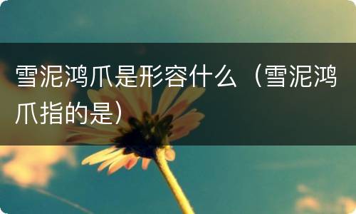 雪泥鸿爪是形容什么（雪泥鸿爪指的是）