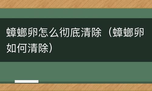 蟑螂卵怎么彻底清除（蟑螂卵如何清除）