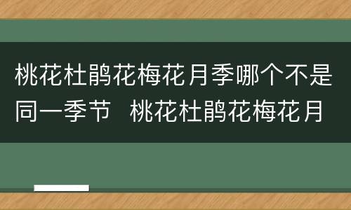 桃花杜鹃花梅花月季哪个不是同一季节  桃花杜鹃花梅花月季中哪种花不在同一季节