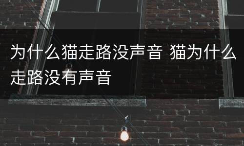为什么猫走路没声音 猫为什么走路没有声音