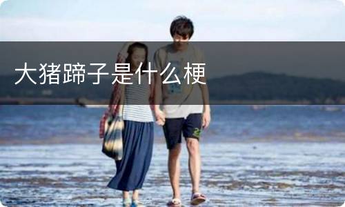大猪蹄子是什么梗