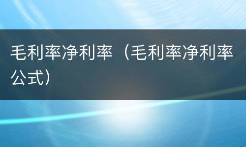 毛利率净利率（毛利率净利率公式）