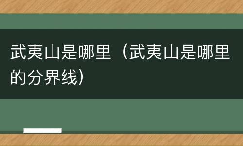 武夷山是哪里（武夷山是哪里的分界线）