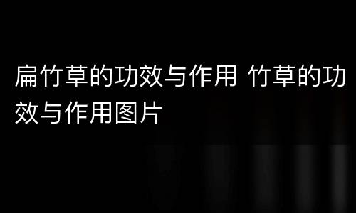 扁竹草的功效与作用 竹草的功效与作用图片