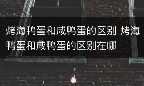 烤海鸭蛋和咸鸭蛋的区别 烤海鸭蛋和咸鸭蛋的区别在哪