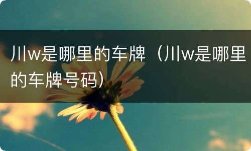 川w是哪里的车牌（川w是哪里的车牌号码）