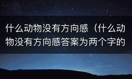 什么动物没有方向感（什么动物没有方向感答案为两个字的）