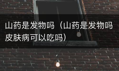 山药是发物吗（山药是发物吗皮肤病可以吃吗）