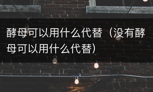 酵母可以用什么代替（没有酵母可以用什么代替）