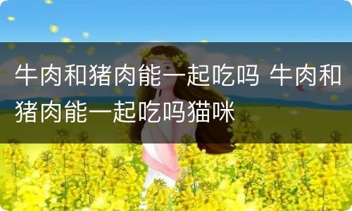 牛肉和猪肉能一起吃吗 牛肉和猪肉能一起吃吗猫咪