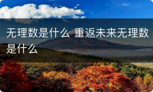 无理数是什么 重返未来无理数是什么