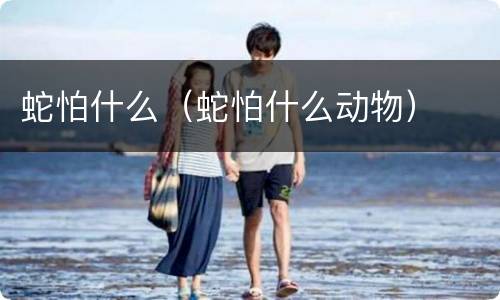 蛇怕什么（蛇怕什么动物）
