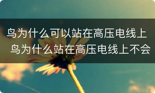 鸟为什么可以站在高压电线上 鸟为什么站在高压电线上不会被电死