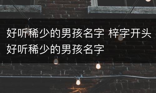 好听稀少的男孩名字 梓字开头好听稀少的男孩名字