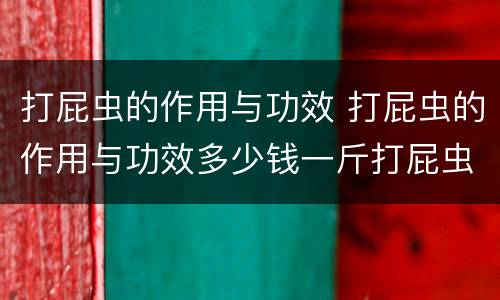 打屁虫的作用与功效 打屁虫的作用与功效多少钱一斤打屁虫哪时候有