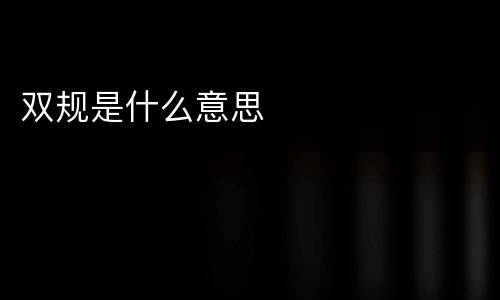 双规是什么意思